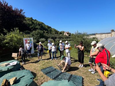 ECO-Experiencia sobre Agroecología y Compostajes domésticos